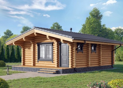 Баня из бревна