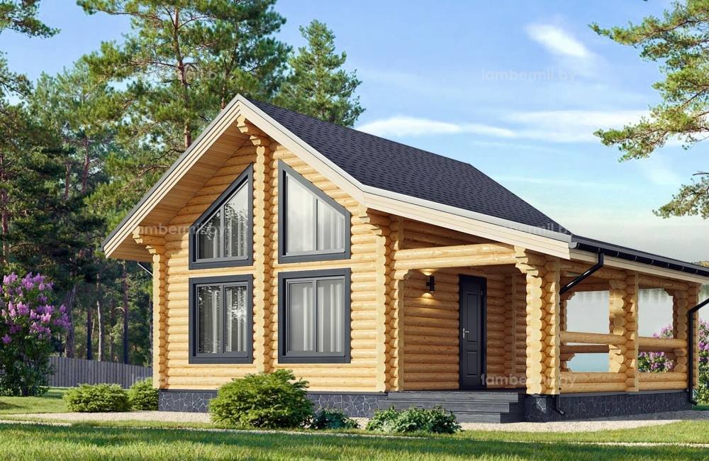 Дом-баня из бревен